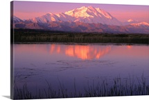 Mt McKinley Relfected in Tundra Pond Denali NP AK