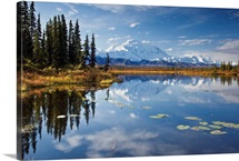 North face and peak of Mt. Mckinley reflected in tundra pond in Denali National Park
