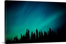 Northern Lights over Black Spruce forest during Winter in Southcentral Alaska