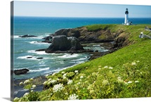 Oregon, Central Coast, Yaquina Head Historic Lighthouse And Natural Wilderness Area