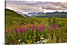 Scenic view of Gulkana Glacier from the Richardson Highway