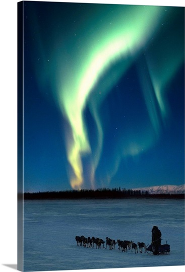 Scenic view of musher with Northern Lights overhead Alaska, Winter