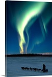 Scenic view of musher with Northern Lights overhead Alaska, Winter