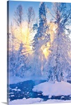 Small stream in a hoarfrost covered forest with rays of sun filtering through the fog