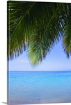Tropical View