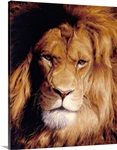 Botswana King