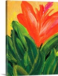 Tropical Flowers
