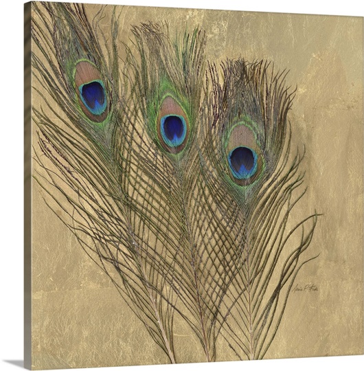 Golden Peacock Feathers Photo Canvas Print Great Big Canvas 6123