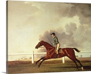 Bay Malton with John Singleton Up, c.1767 (oil on canvas)