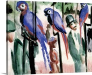 Blue Parrots (w/c on paper)