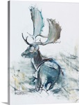 Buck in the Grass, 2006 (charcoal