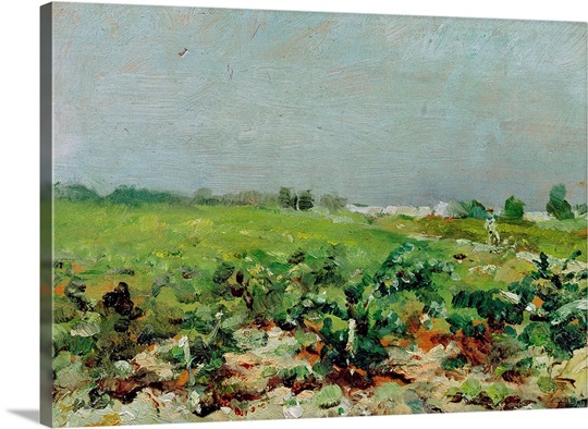 Celeyran, View of the Vineyard, 1880 (oil on canvas)