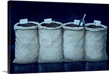 Coffee Sacks, 1990 (w/c on paper)