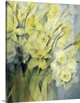 Daffodils, Uncle Remis and Ice Follies