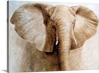 Elephant, 2004 (acrylic on paper)
