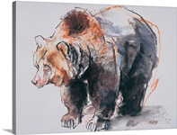 European Brown Bear, 2001 (charcoal