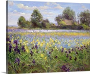 Farmstead and Iris Field, 1992