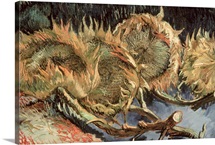 Four Withered Sunflowers, 1887 (oil on canvas)