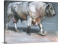 Fresno, Galloway Bull (mixed media on paper)