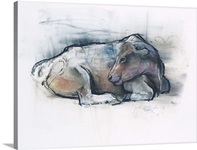 Galloway, 2006 (charcoal