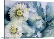 Gerbera Jameson II