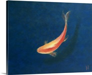 Goldfish