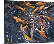 Goldfish, 2010 (oil on canvas)