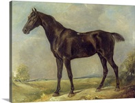 Golding Constable's Black Riding-Horse, c.1805-10 (oil on panel)