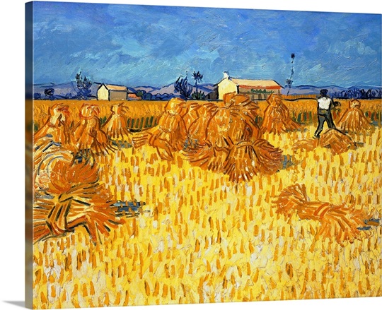 Harvest in Provence, June 1888