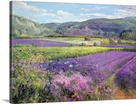 Lavender Fields in Old Provence (oil on canvas)