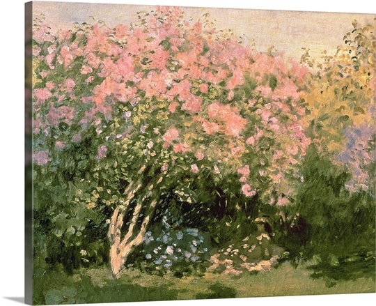 Lilac in the Sun, 1873 (oil on canvas)