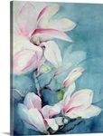 Magnolia Soulangeana (vertical)