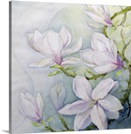 Magnolias (w/c)