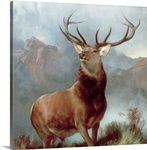 Monarch of the Glen, 1851 (oil on canvas)