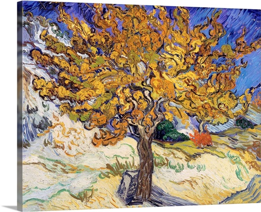 Mulberry Tree, 1889 (oil on canvas)