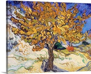 Mulberry Tree, 1889 (oil on canvas)