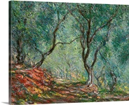 Olive Trees in the Moreno Garden, 1884 (oil on canvas)