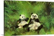 Pandas, 1998 (acrylic and pencil on canvas)