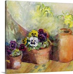 Pansies and Terracotta Pots (w/c)