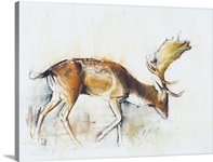 Pisanello Buck, 2006 (charcoal