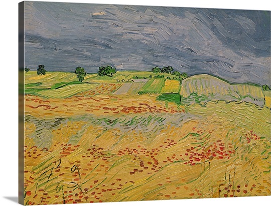 Plain at Auvers, 1890 (oil on canvas)