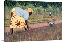 Planting Onions, 2005 (oil on canvas)