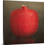 Pomegranate, 2010 (acrylic on canvas)