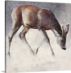 Roe Buck, Winter, 2000 (mixed media on paper)