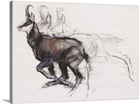 Running Chamois (charcoal