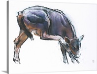 Scratching Calf, 2006 (charcoal