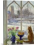 Snow Shadows and Cat