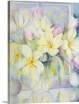Spring tulips