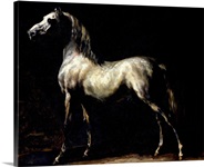 Study of a Dapple Grey (oil on canvas)