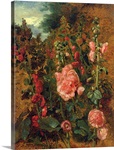 Study of Hollyhocks, c.1826 (oil on board)